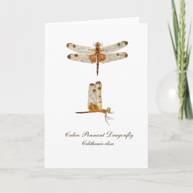 Calico Pennant Dragonfly Greeting Card Kort (Framsida)