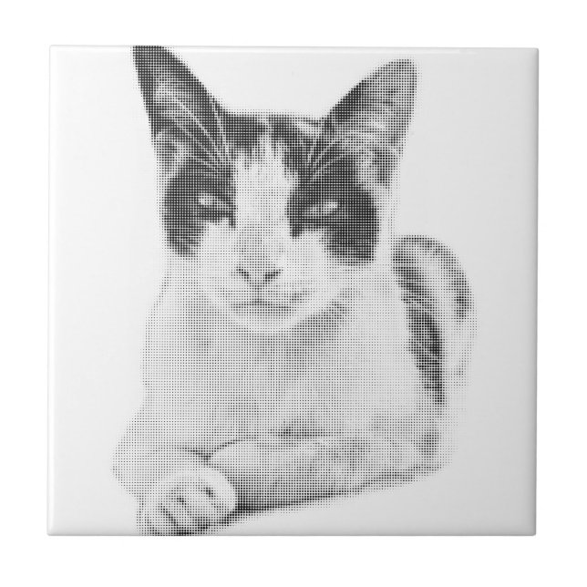 Calico Pop Halftone Kakelplatta (Framsidan)