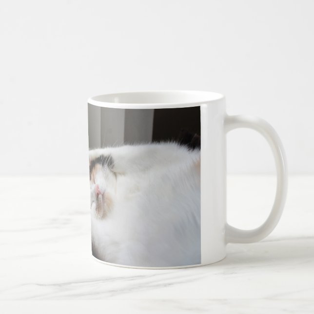 Calico sover i sol mugg (Höger)