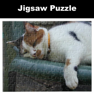 Calico sover pussel