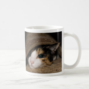 Calico Taco Coffee Mugg