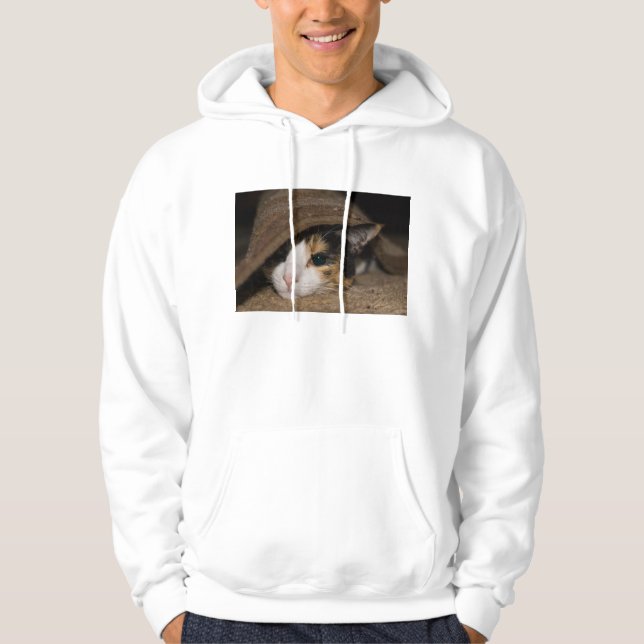 Calico Taco Hoodie (Framsida)
