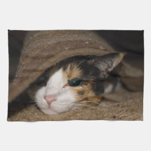 Calico Taco Kökshandduk