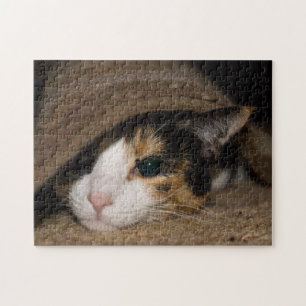 Calico Taco Pussel