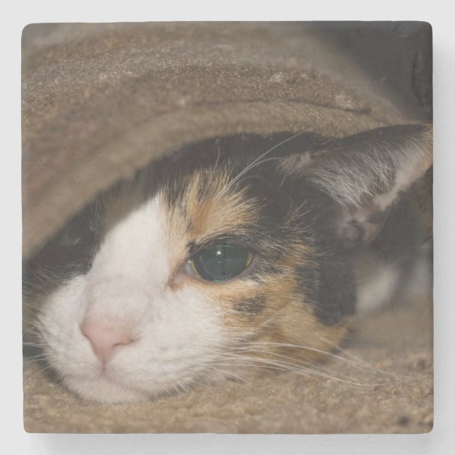 Calico Taco Stenunderlägg (Framsidan)