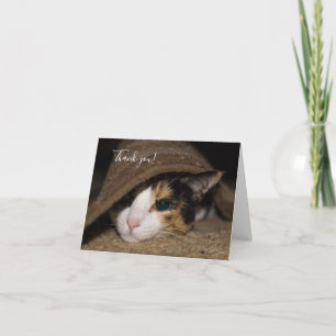 Calico Taco - tackkort