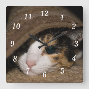 Calico Taco Wall Clock Fyrkantig Klocka