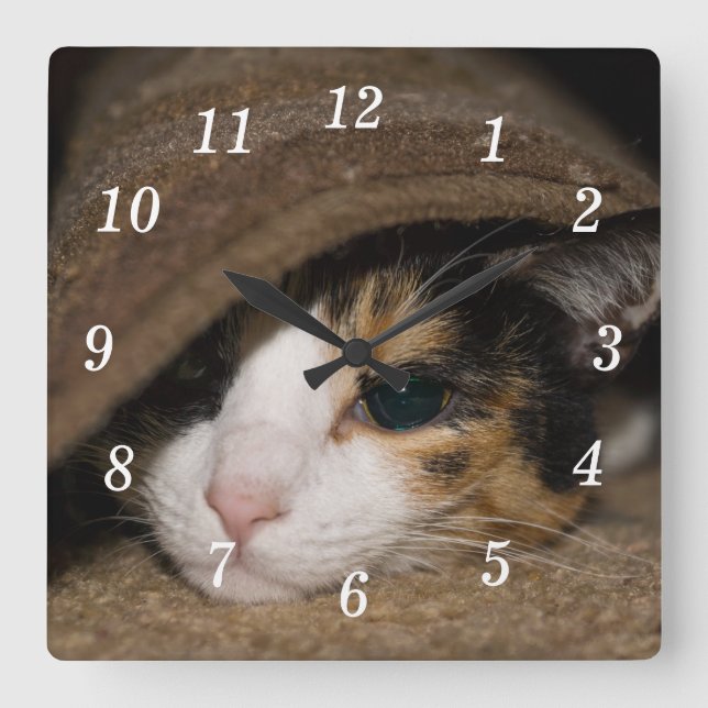 Calico Taco Wall Clock Fyrkantig Klocka (Framsida)