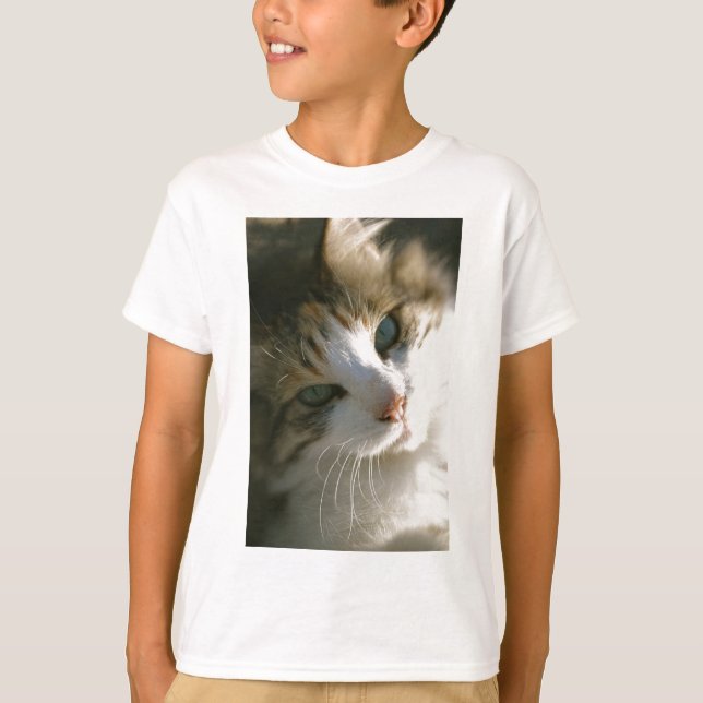 Calico Tiger Cat Tee Shirt (Framsida)