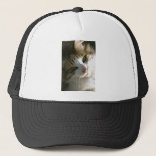 Calico Tiger Cat Truckerkeps