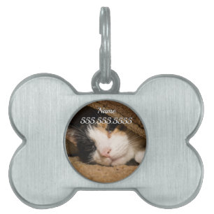 Calico under Pet-märket Matta ID-bricka Husdjur
