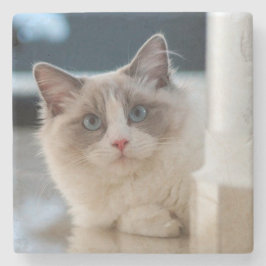 Calico Underlägg Sten