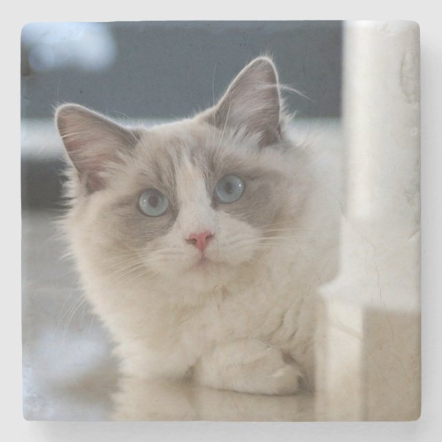 Calico Underlägg Sten (Framsidan)