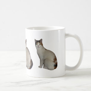 Calicogrupp Kaffemugg