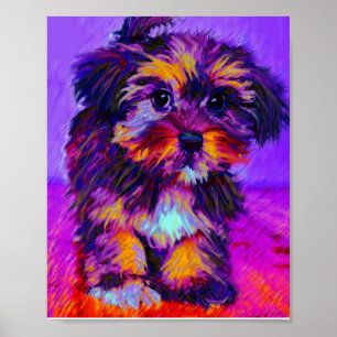 calicohund poster
