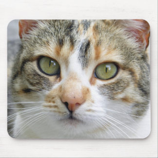 Calicokatt Mousepad Musmatta