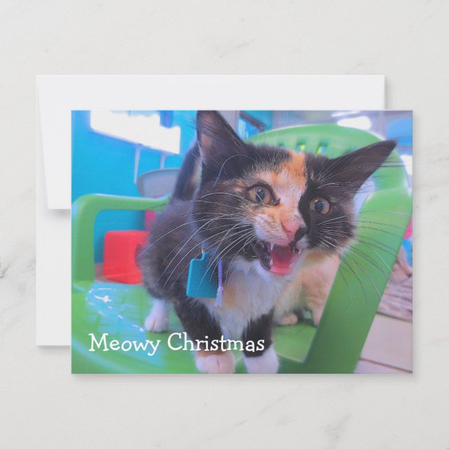 Calicokattunge Meowy Tack Kort (Framsida)