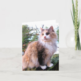 Calicos Anpassningsbar tänker på dig Kort