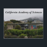 California Academy of Sciences #2 vykort<br><div class="desc">California Academy of Sciences ligger i Golden Gate Park i San Francisco,  Kalifornien.</div>