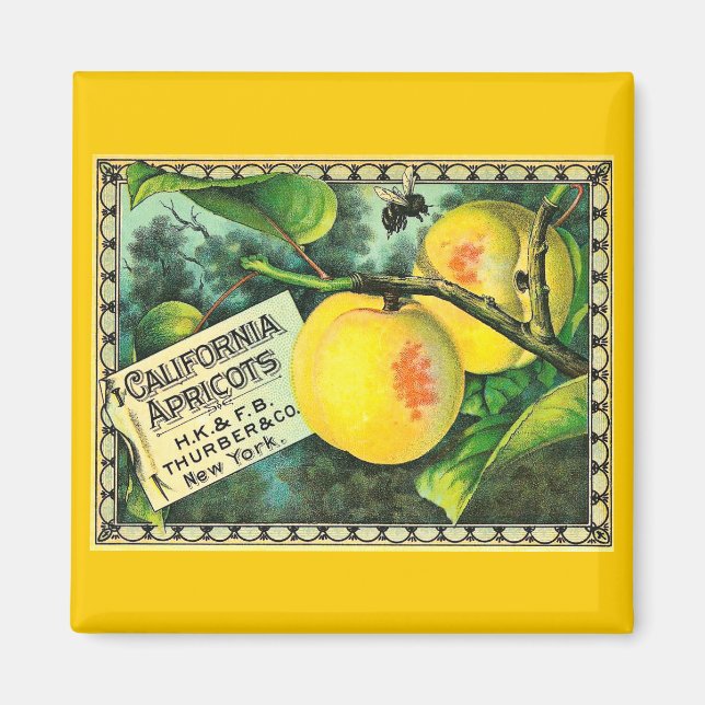 California Apricots - Vintage Låda-etikett Magnet (Framsidan)