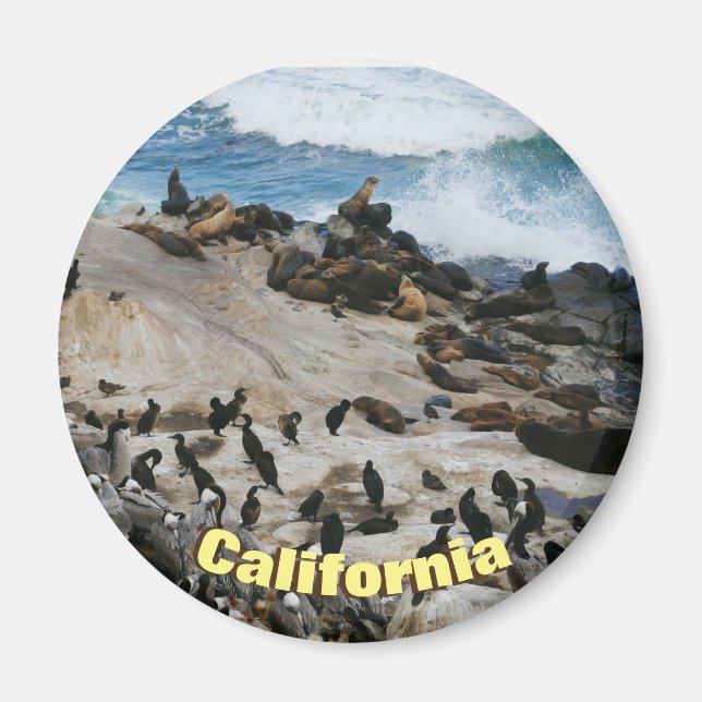 California Beach Magnet (Framsidan)