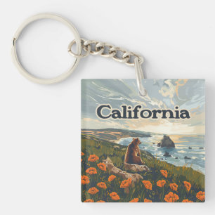 California Bear Poppies Flowers Kusten Retro