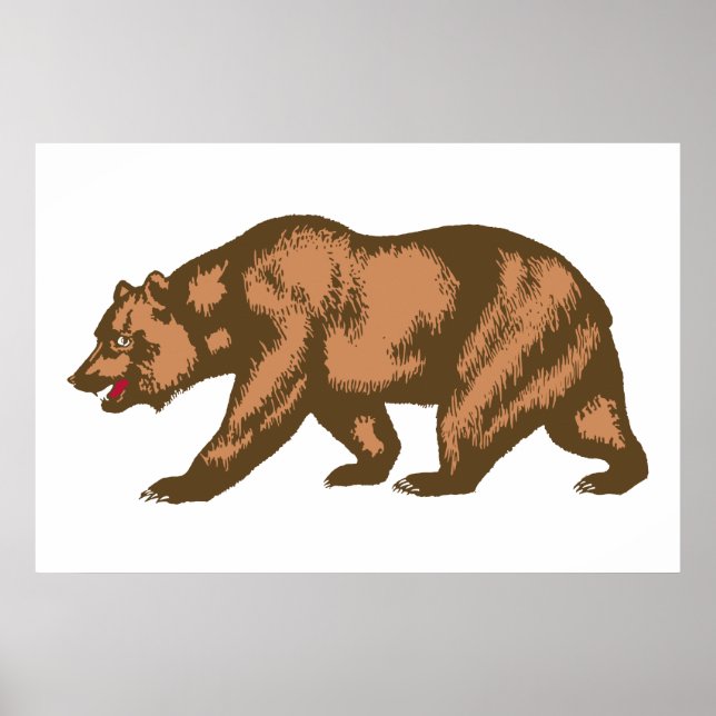 California Bear Poster (Framsidan)