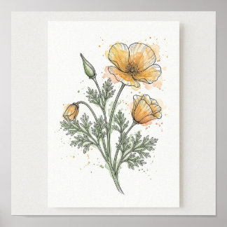 California Botanisk Illustration Fyrkantig Affisch