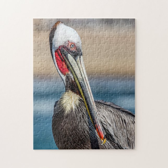 California Brown Pelican, Fine Art Photo, Pussel (Vertikal)