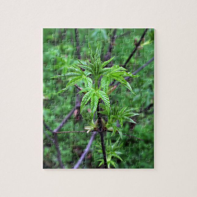 California Buckeye Seedling Puzzle Pussel (Vertikal)