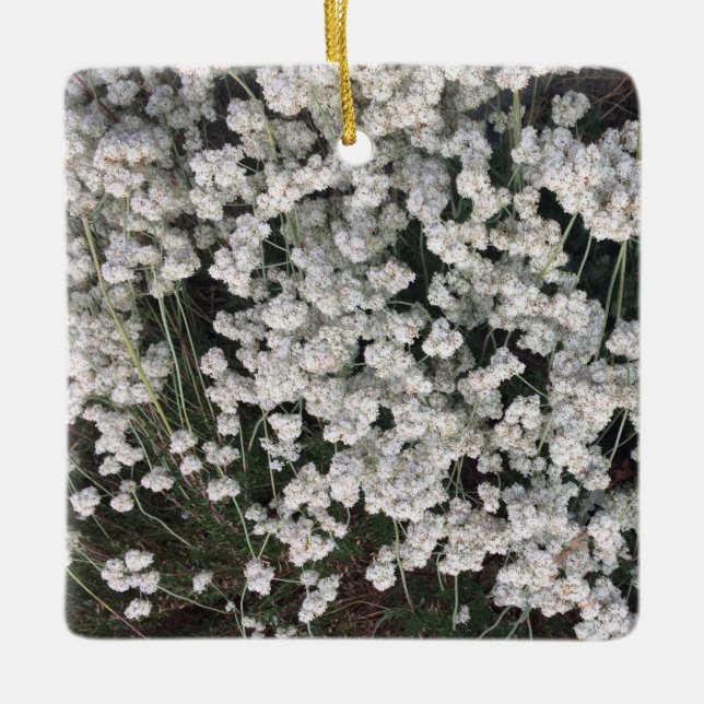 California Buckvete Ceramic Ornament (Framsida)