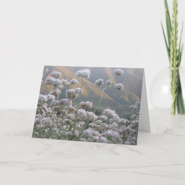 California Buckvete Kort (Framsida)