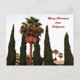 CALIFORNIA CHRISTMAS HÄLSNING vykort