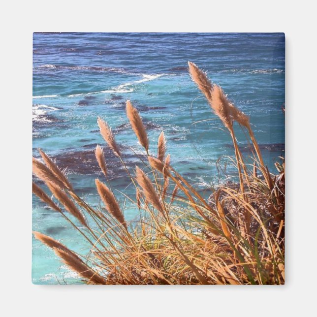 California Coastal Magnet (Framsidan)