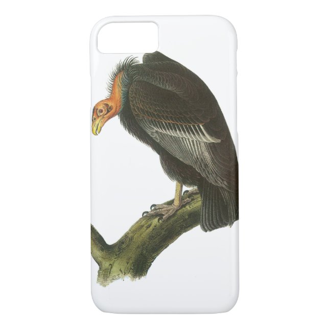 California Condor av Audubon Case-Mate iPhone Skal (Baksida)
