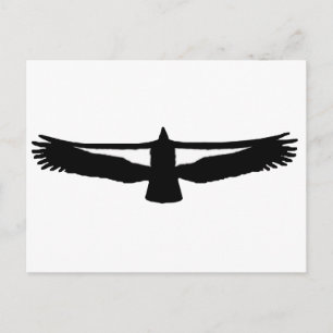 California Condor Vykort