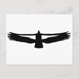 California Condor Vykort