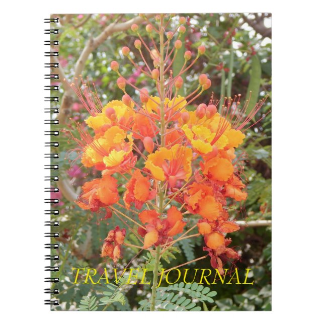 CALIFORNIA DESERT FLOWER #1 RESEL JOURNAL ANTECKNINGSBOK (Framsidan)