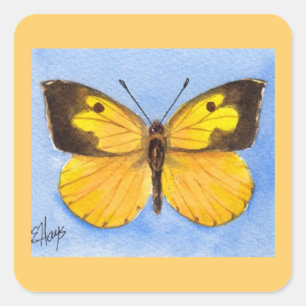 California Dogface Butterfly Sticker Fyrkantigt Klistermärke
