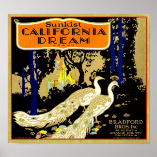 California Dream Brand Orange Crate Fruit Label 19 Poster