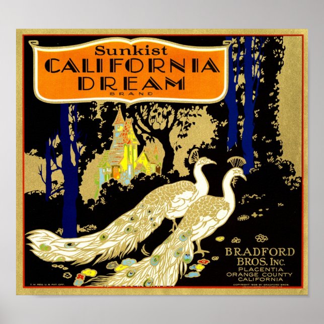 California Dream Brand Orange Låda Fruit Label 19 Poster (Framsidan)