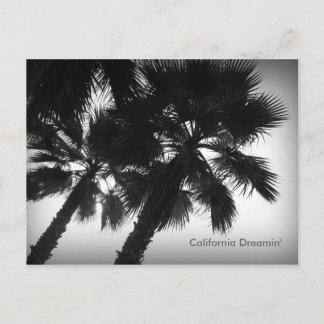 California Dreamin' Handflatan Träd vykort