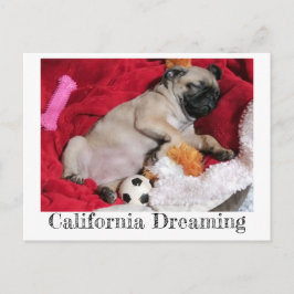 California Dreaming Peanut the Pug Vykort