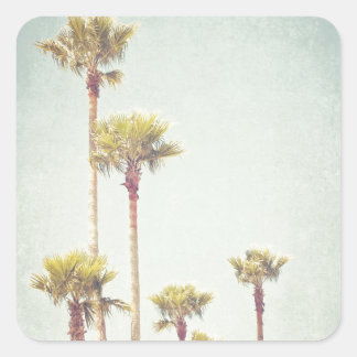 California Dreaming Retro Handflatan Träd Photogra Fyrkantigt Klistermärke