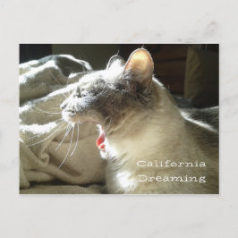 California Dreaming Vykort