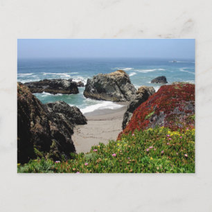 California Dreaming Vykort