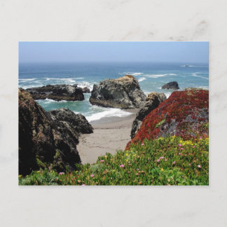 California Dreaming Vykort