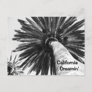 California Dreamin'vykort Vykort