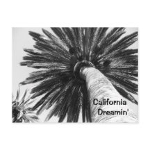California Dreamin'vykort