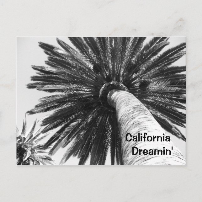 California Dreamin'vykort Vykort (Framsida)
